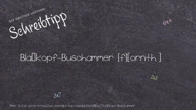 Schreibtipp Blaßkopf-Buschammer