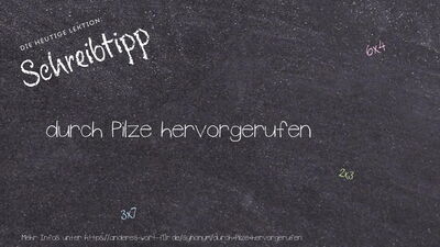 Schreibtipp durch Pilze hervorgerufen