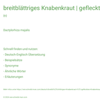 breitblättriges Knabenkraut | geflecktes Knabenkraut