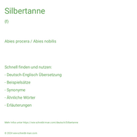 Silbertanne