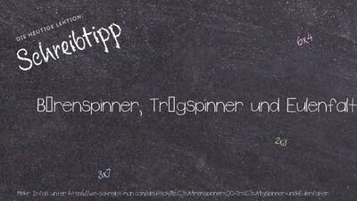 Schreibtipp Bärenspinner, Trägspinner und Eulenfalter