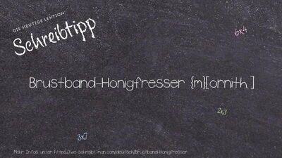 Schreibtipp Brustband-Honigfresser