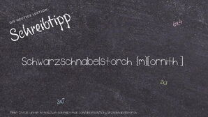 Wie schreibt man Schwarzschnabelstorch? Bedeutung, Synonym, Antonym & Zitate.