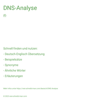 DNS-Analyse