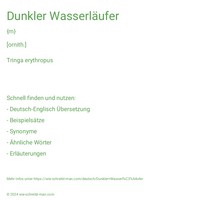 Dunkler Wasserläufer