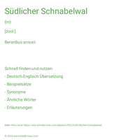 Südlicher Schnabelwal