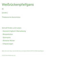 Weißrückenpfeifgans