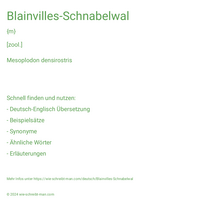 Blainvilles-Schnabelwal