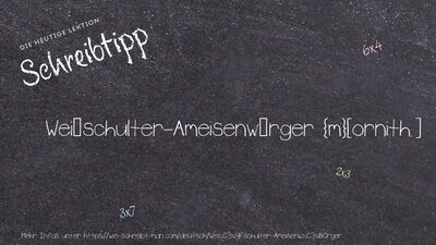 Schreibtipp Weißschulter-Ameisenwürger