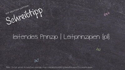 Schreibtipp leitendes Prinzip | Leitprinzipien