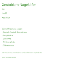 Xestobium-Nagekäfer