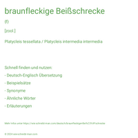 braunfleckige Beißschrecke