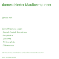 domestizierter Maulbeerspinner