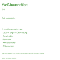 Weißbauchtölpel