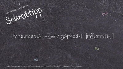 Schreibtipp Braunbrust-Zwergspecht