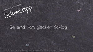 Wie schreibt man Sie sind vom gleichen Schlag.? Bedeutung, Synonym, Antonym & Zitate.