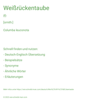 Weißrückentaube