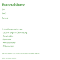 Burserabäume