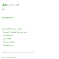 Josuabaum