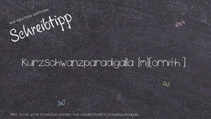 Wie schreibt man Kurzschwanzparadigalla? Bedeutung, Synonym, Antonym & Zitate.