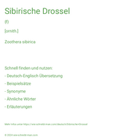 Sibirische Drossel