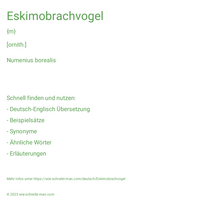 Eskimobrachvogel