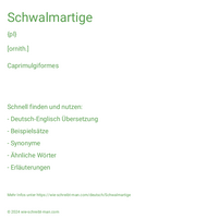 Schwalmartige