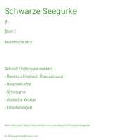 Schwarze Seegurke