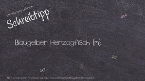 Wie schreibt man Blaugelber Herzogfisch? Bedeutung, Synonym, Antonym & Zitate.