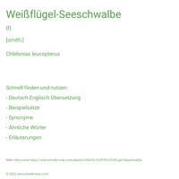 Weißflügel-Seeschwalbe