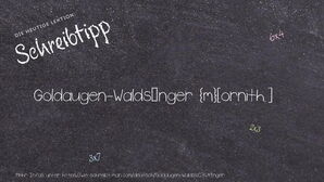 Wie schreibt man Goldaugen-Waldsänger? Bedeutung, Synonym, Antonym & Zitate.