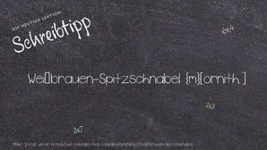 Wie schreibt man Weißbrauen-Spitzschnabel? Bedeutung, Synonym, Antonym & Zitate.