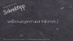 Wie schreibt man Weißschwingentrupial? Bedeutung, Synonym, Antonym & Zitate.