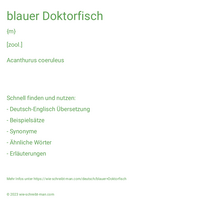 blauer Doktorfisch