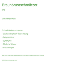 Braunbrustschmätzer