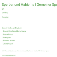 Sperber und Habichte | Gemeiner Sperber