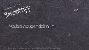 Wie schreibt man Weißschnauzendelfin? Bedeutung, Synonym, Antonym & Zitate.