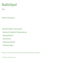 Baßtölpel