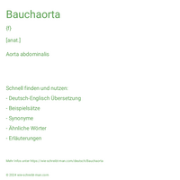 Bauchaorta