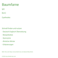 Baumfarne