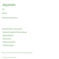 Jejunum