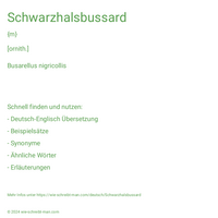 Schwarzhalsbussard