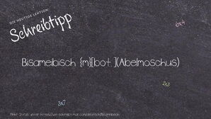 Wie schreibt man Bisameibisch? Bedeutung, Synonym, Antonym & Zitate.