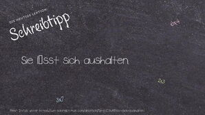 Wie schreibt man Sie lässt sich aushalten.? Bedeutung, Synonym, Antonym & Zitate.