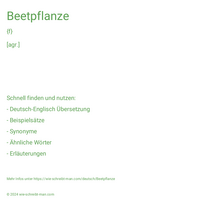 Beetpflanze