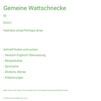 Gemeine Wattschnecke