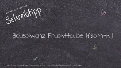 Schreibtipp Blauschwanz-Fruchttaube