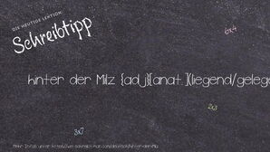 Wie schreibt man hinter der Milz? Bedeutung, Synonym, Antonym & Zitate.