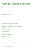 Kamm-Stachelschwein