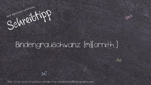 Wie schreibt man Bindengrauschwanz? Bedeutung, Synonym, Antonym & Zitate.